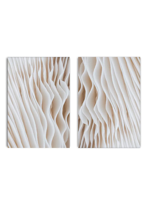 Struktura Kwiatów Zestaw 2 Plakatów 50x70cm